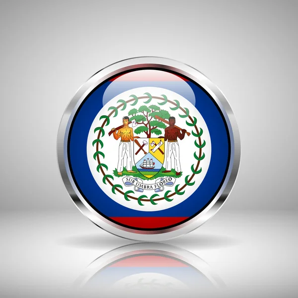 Bandera de Belice en cromo — Vector de stock