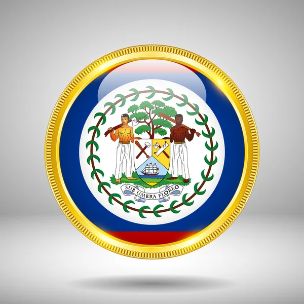 Flaga Belize w złoto — Wektor stockowy