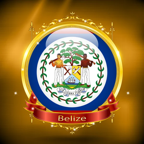 Bandera de Belice en ORO — Vector de stock