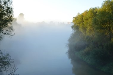 Sabah sis nehirde. ağaçlar ve gökyüzü