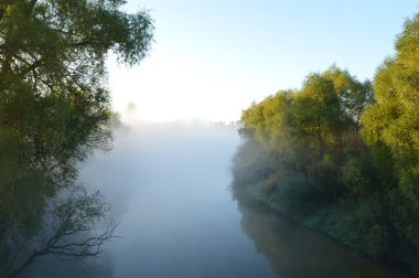 Sabah sis nehirde. ağaçlar ve gökyüzü