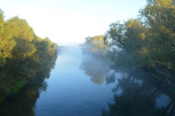 Floden i dimma på morgonen. träd och himmel — Stockfoto