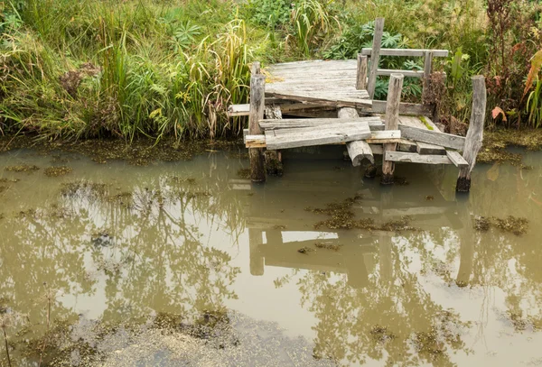 gölet çim ile yakın eski ahşap köprü