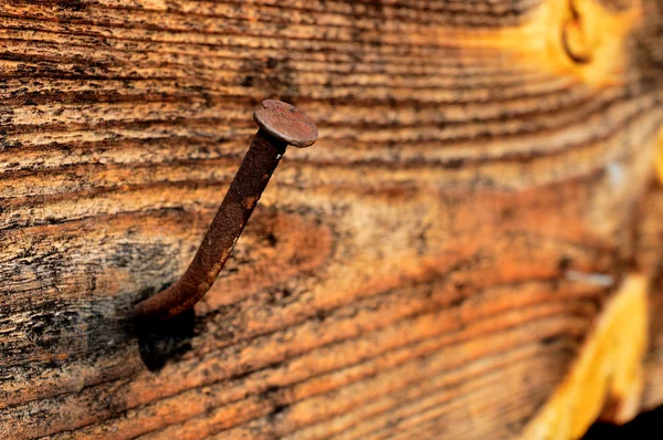 güzel resim eski yönetim kurulu