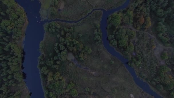 Люди плавают на каяке по реке в лесу — стоковое видео