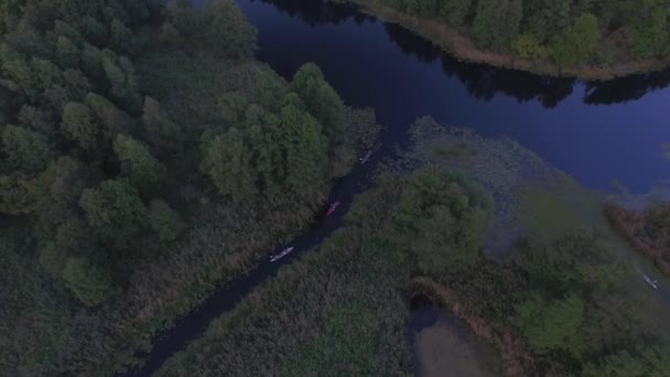 İnsanlar ormandaki nehir üzerinde bir kayık içinde yüzmek — Stok video