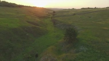 Yeşil alanların günbatımı