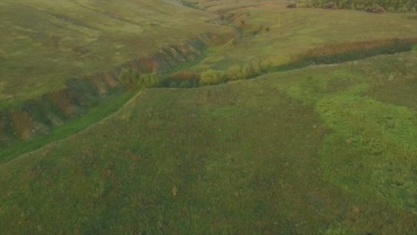 Зеленые поля на закате — стоковое видео
