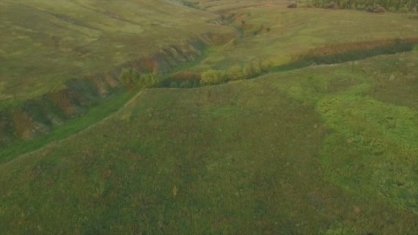 Campos verdes al atardecer — Vídeo de stock