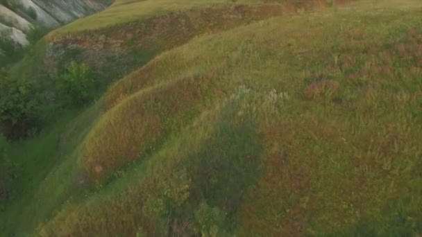 Campos verdes al atardecer — Vídeo de stock