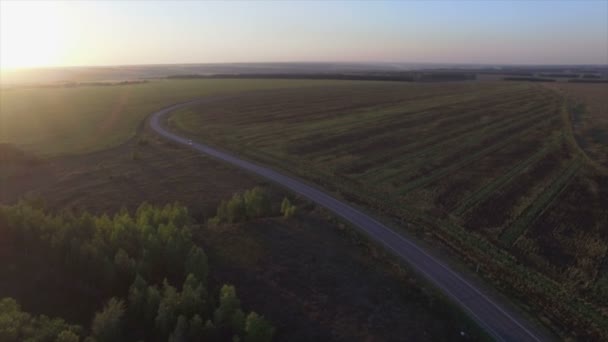 Дорога заката, вид с воздуха, ранняя осень . — стоковое видео