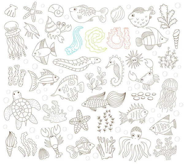 Kézzel rajzolt víz alatti állatok — Stock Vector
