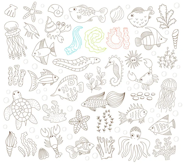 Hand drawn underwater animals Vector Graphics