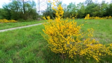 İtalya, Lombardiya 'nın güzel doğası, yaz mevsiminde panoramik bir çekim ile yapıldı.