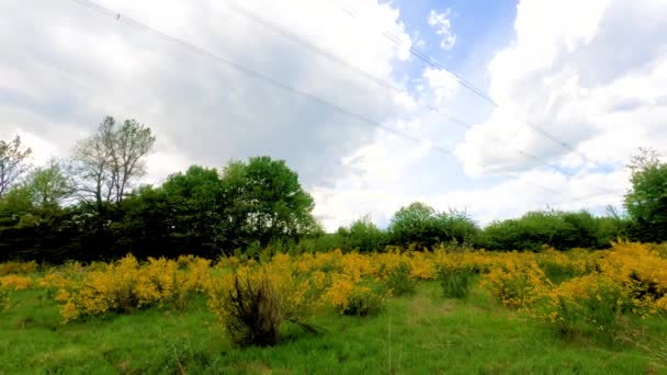 Beutiful Aard Van Lombardije Italië Gemaakt Zomer Met Panoramisch Schot — Stockvideo