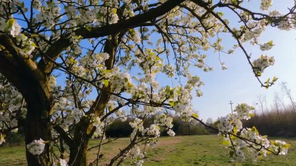 Beutiful Aard Van Lombardije Italië Gemaakt Zomer Met Panoramisch Schot — Stockvideo