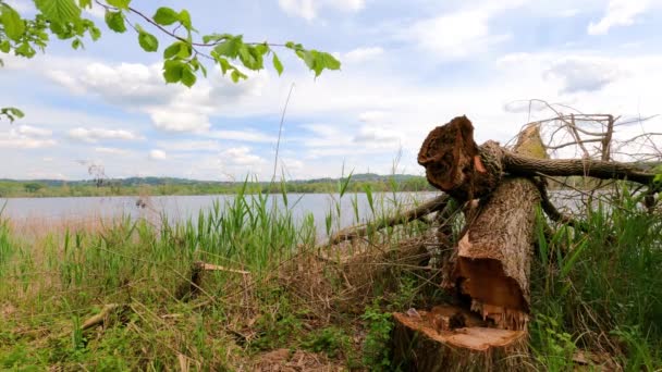 Bellissima Natura Lombarda Italia Fatta Estate Con Scatto Panoramico — Video Stock