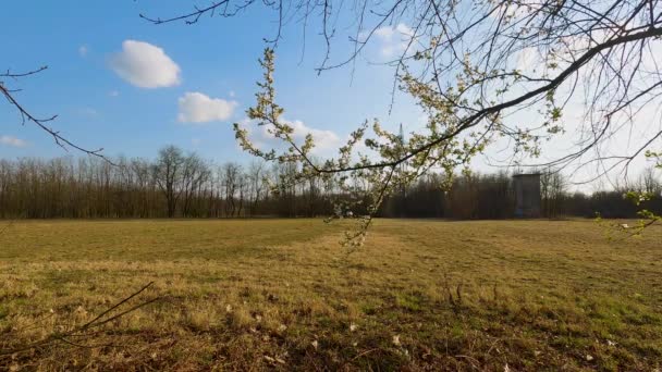 Träd Skogen Lombardiet Italien Gjort Hösten Med Panorama Skott — Stockvideo