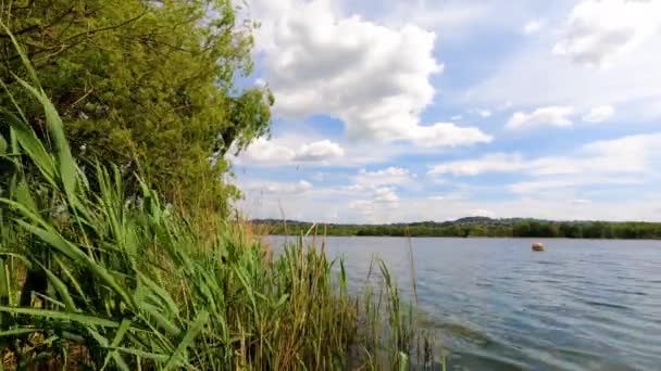 Teich Des Sees Von Varese Italien Sommer Mit Einem Festen — Stockvideo