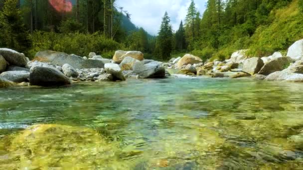 Fluss Des Berges Macugnaga Italien Sommer Mit Einem Schönen Panoramablick — Stockvideo