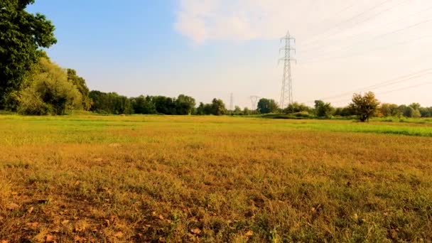 Höstäng Pylon Hösten Färger Bakgrund — Stockvideo