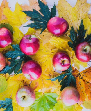 Sarı akçaağaç yaprakları üzerinde kırmızı ve olgun elmalar..