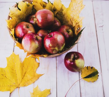 Sarı akçaağaç yaprakları üzerinde kırmızı ve olgun elmalar..