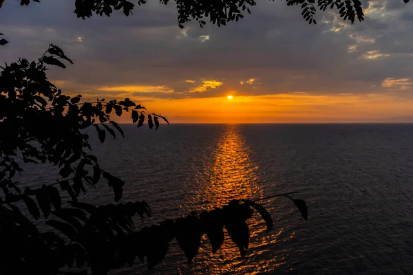 Puesta Sol Mar Beautiful Árbol Atardecer Costa —  Fotos de Stock