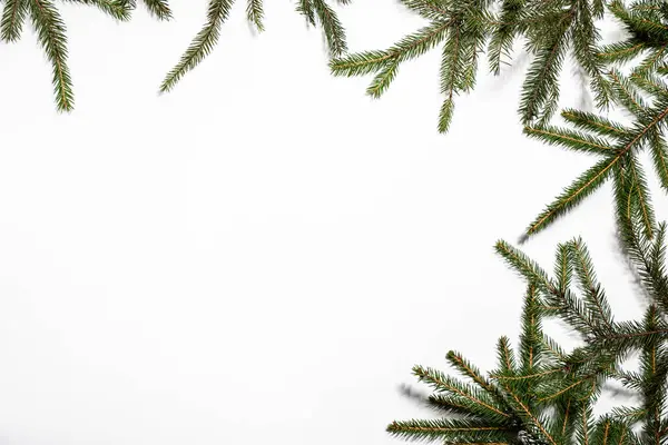 Яскрава Різдвяна Рамка Ялини Білому Тлі — стокове фото