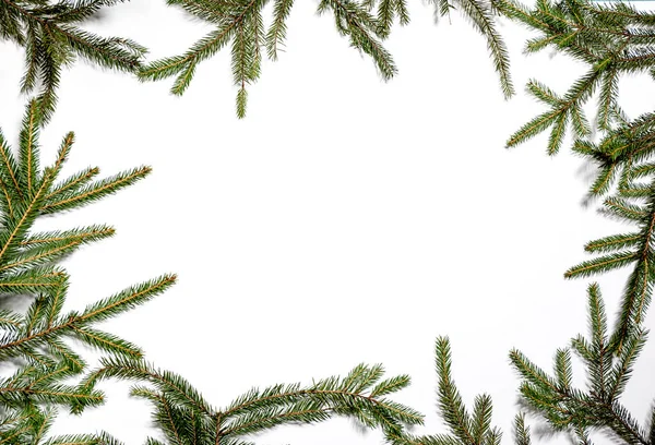 Beyaz Arkaplanda Ladin Ağacından Yapılmış Parlak Bir Noel Çerçevesi — Stok fotoğraf