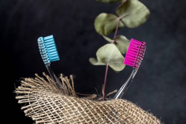 Çuval bezi ve okaliptüs dolu bir bardakta iki diş fırçası..