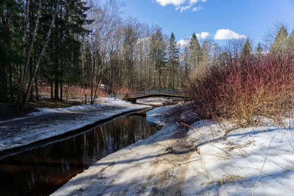 阳光明媚的春天风景 森林里有一条河和一座桥 海岸上有冰雪 — 图库照片