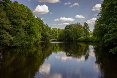 Ağaçlarla çevrili muhteşem bir göl manzarası ve güzel bulutlarla dolu mavi bir gökyüzü..