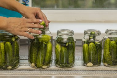 Cam kavanozlarda konserve salatalık hazırlarken kadınların elleri..