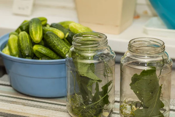 Glazen Potten Tafel Met Kruiden Voor Het Conserveren Van Komkommers — Stockfoto