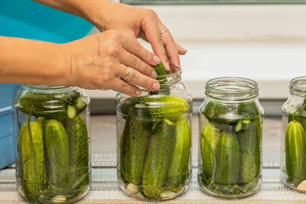 Una Mujer Hace Conservación Pepinos — Foto de Stock