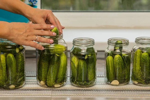 Vrouwenhanden Bij Bereiding Van Komkommers Blik Glazen Potten — Stockfoto