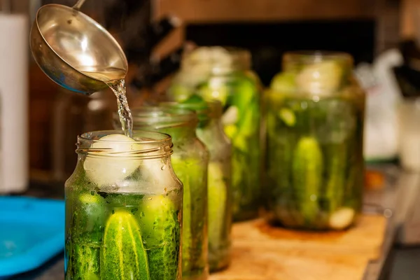 Preparación Pepinos Enlatados — Foto de Stock