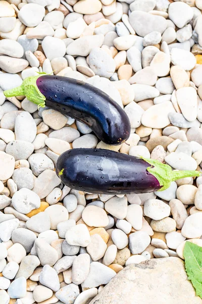 Two fresh eggplants with drops of water on the stones.