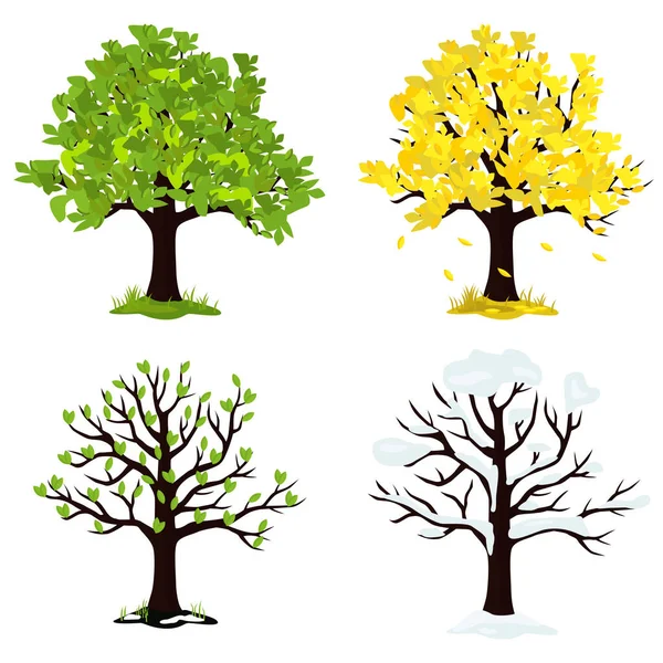 Vektorová Ilustrace Stromu Čtyřech Ročních Obdobích Léto Podzim Zima Jaro — Stockový vektor