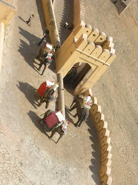 Fort Amber, Jaipur, Hindistan. Filler
