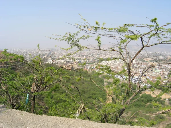 Stadtgebiet Von Jaipur Indien Von Oben — Stockfoto