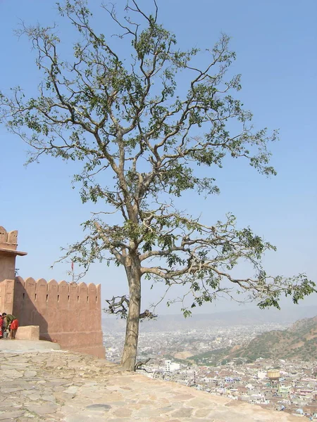 Stadtgebiet Von Jaipur Indien Von Oben — Stockfoto