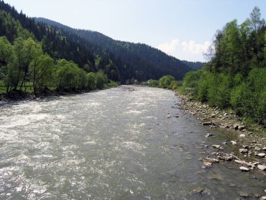 dağ nehir Karpatlar, Ukrayna.
