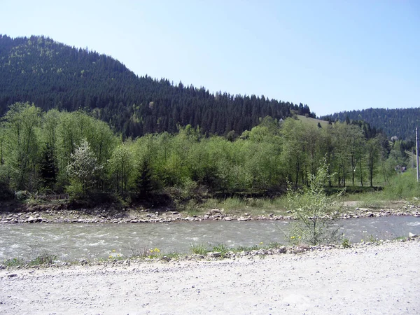 Berg Rivier Karpaten Oekraïne — Stockfoto