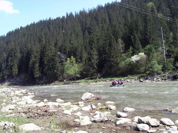 Dağ nehrinin aşağısında rafting. Karpatlar. Ukrayna.