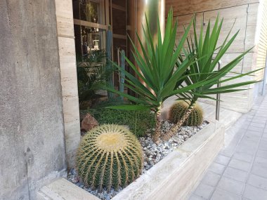 Evin girişi çok güzel.