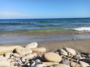 Vahşi bir plaj kıyısında