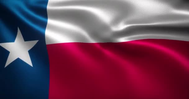 Texas Flag Verenigde Staten Van Amerika Golvende Plooien Close View — Stockvideo
