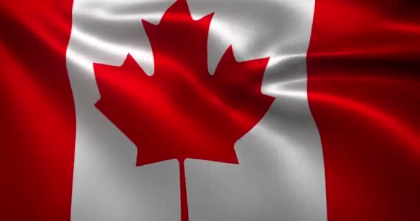 Bandeira Canadá Bandeira Canadense Com Dobras Ondulantes Vista Perto Renderização — Vídeo de Stock